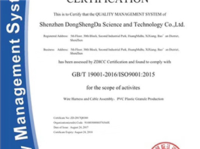ISO9001 英文版
